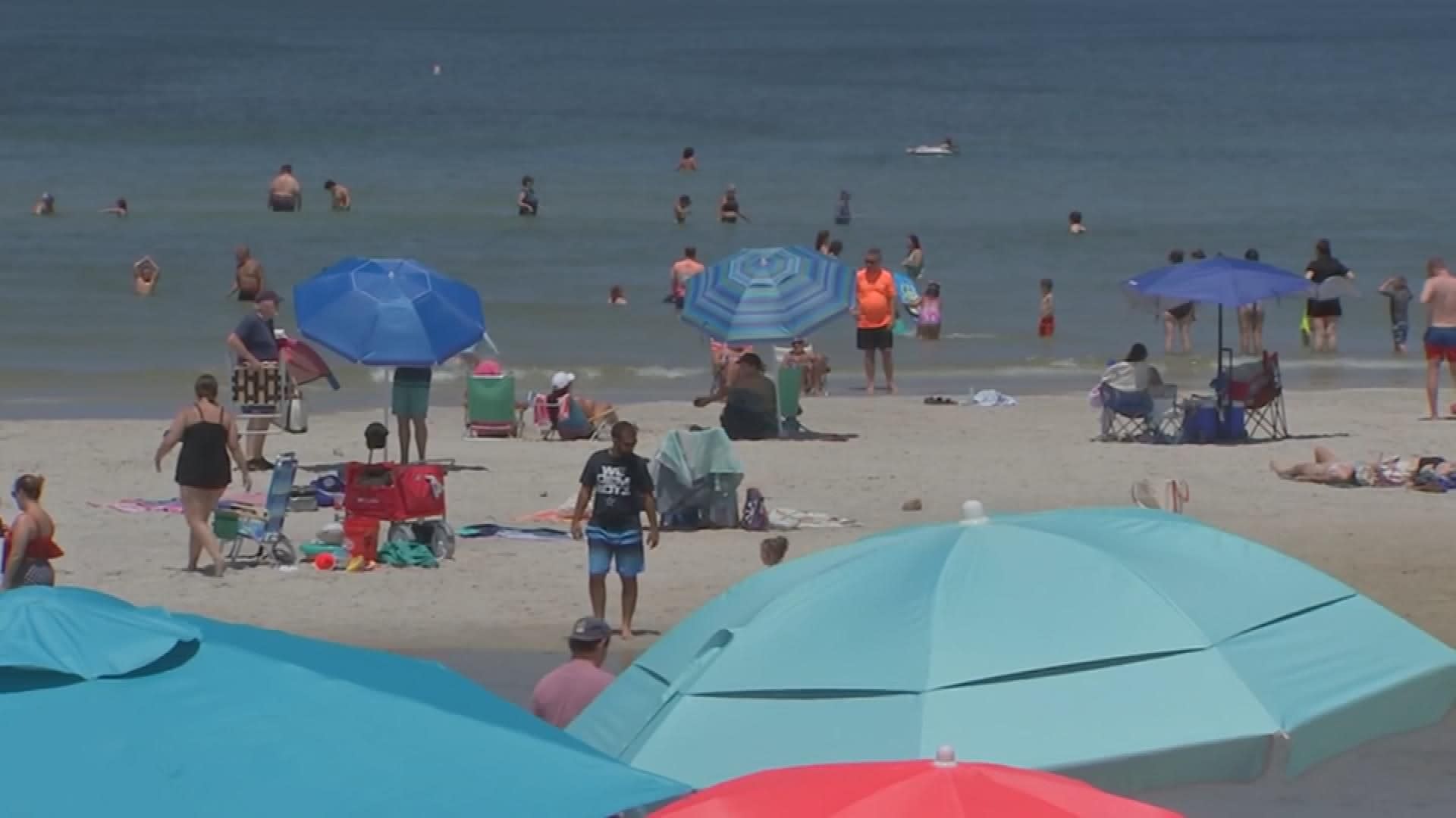 Half of America's Beaches Have Unsafe Pollution Levels: Report