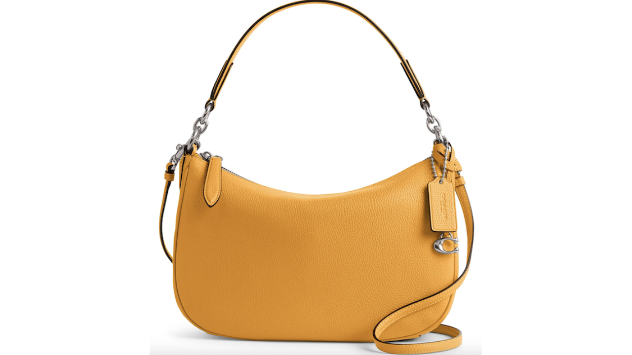 Something Delightful  Nordstrom anniversary sale, Chic outfits spring, Louis  vuitton handbags