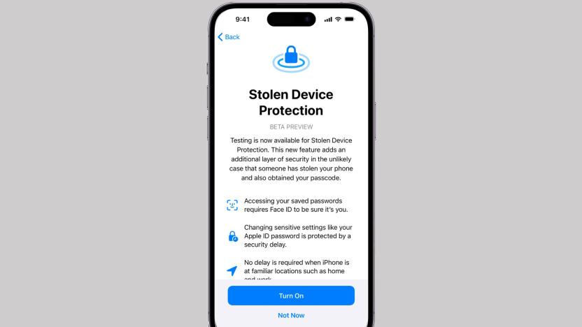 Screenshot inside an iPhone frame showing the new Stolen Device Protection feature. It lists details about the feature and prompts the user to "Turn On" or "Not Now."