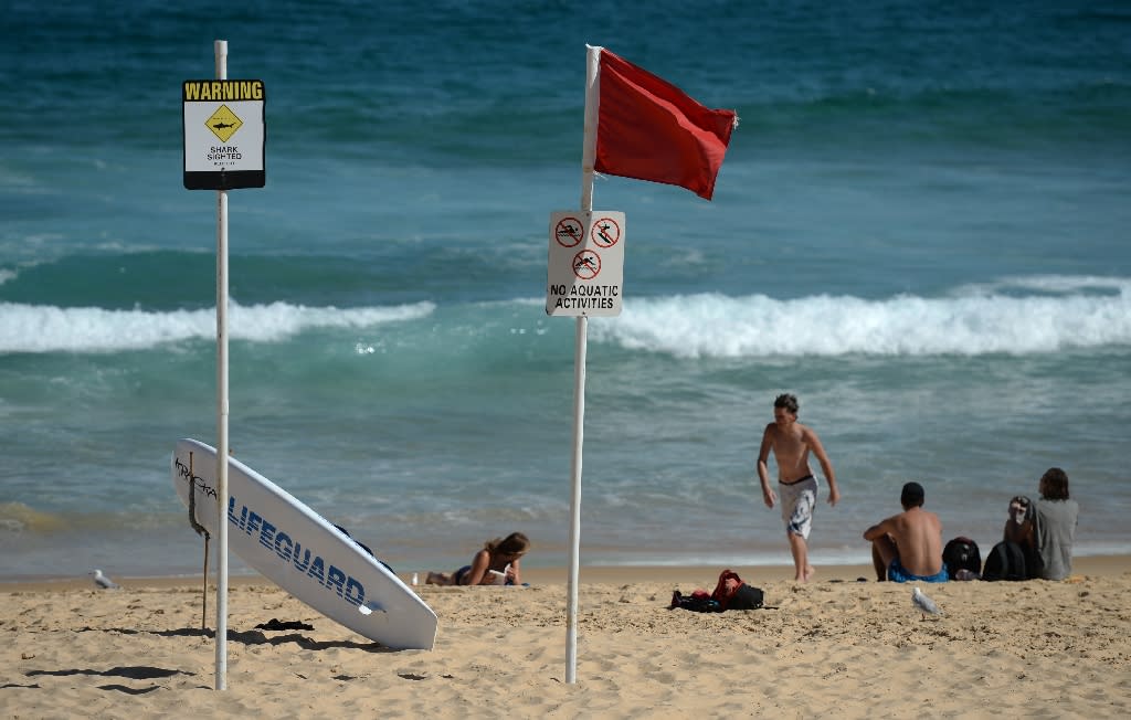 Australian Beaches Closed After New Shark Sightings