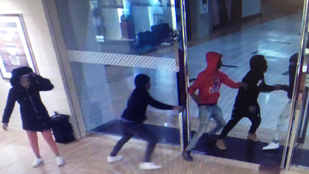 Group wanted in Louis Vuitton purse theft at Northbrook Court [Video]