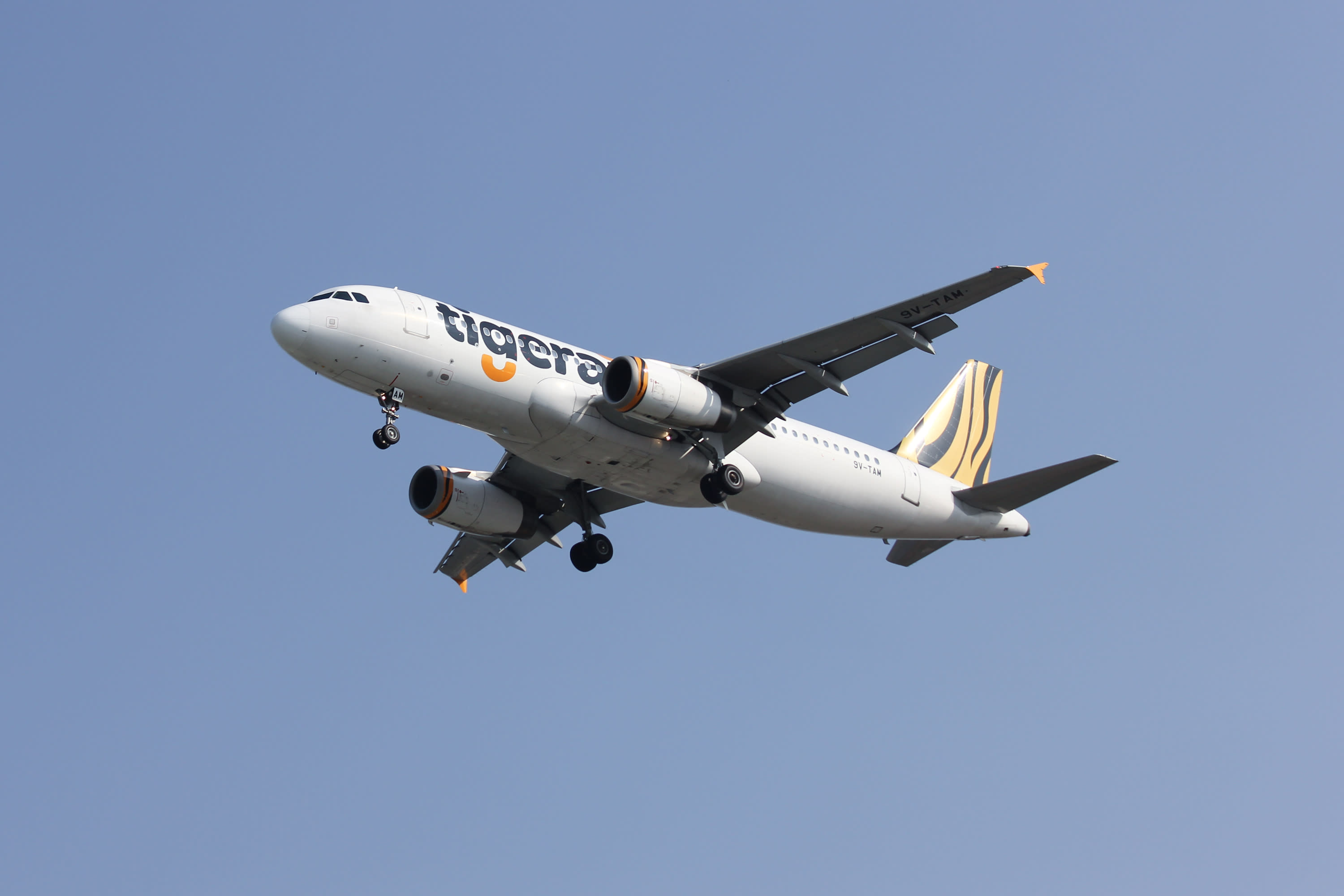 tigerair light fare baggage