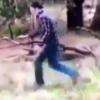 Watch This Hero Get Into A Fistfight With A Kangaroo To Protect His Dog