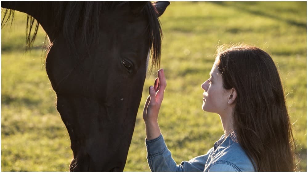 Kate Winslet's 'Black Beauty' Adaptation Set For Disney ...