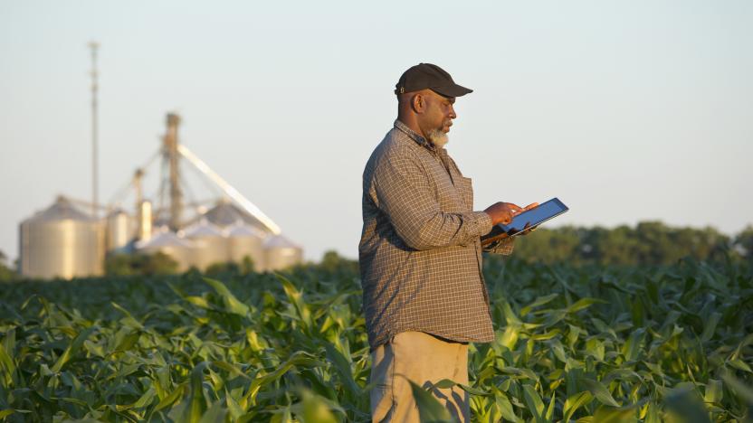 Black farmer with digital tablet in crop field