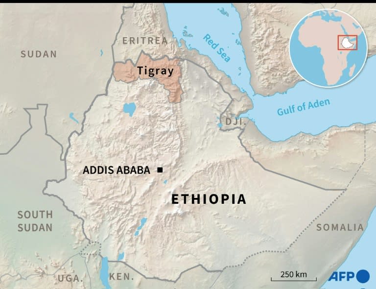 Tigray officer hits damage caused by troops from “neighboring” country