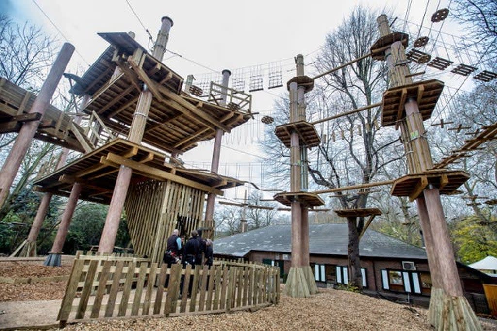Go Ape Closes Adventure Park Amid Investigation After Person Injured At Bracknell Site
