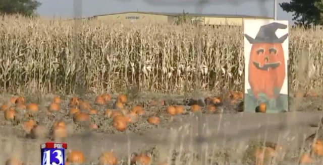 A 3-year-old boy was accidentally left behind at this corn maze in Utah, police said.