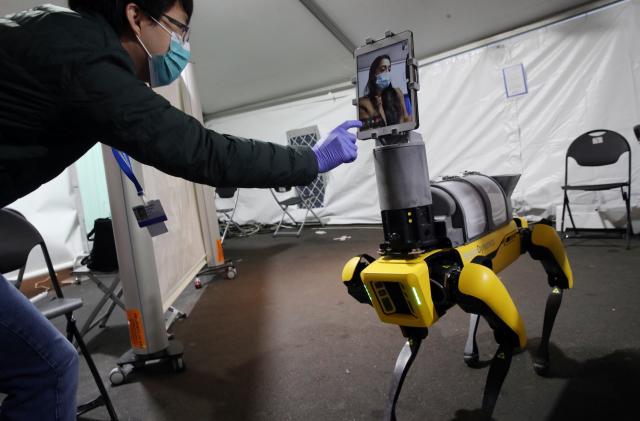 BOSTON, MA - APRIL 23: Research Scientist Hen-Wei Huang, left, talks about Spot the Robot, during a demonstration at Brigham And Women's Hospital in Boston on April 22, 2020. The demonstration featured a new mobile telemedicine platform, Spot the Robot, designed in collaboration with Brigham researchers. Spot, a Boston Dynamics robot, reduces health care worker exposure to potential Covid-19 patients and helps conserve the use of PPE. The demonstration included the robots iPad feature which visually links a patient looking at the robot with a clinician who may be steps away for easy and safe communication. Spot the Robot is currently in clinical use in the Brighams Emergency Department. (Photo by Craig F. Walker/The Boston Globe via Getty Images)