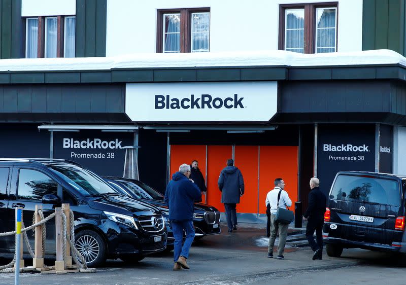 Blackrock Cast Tougher Climate Votes Environmentalists Want More - personal stance van roblox