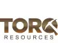 Torq Drills New Discovery at the Pircas Norte Target at the Santa Cecilia Gold-Copper Project; 502 Metres of 0.36 g/t Gold, and 0.078% Copper