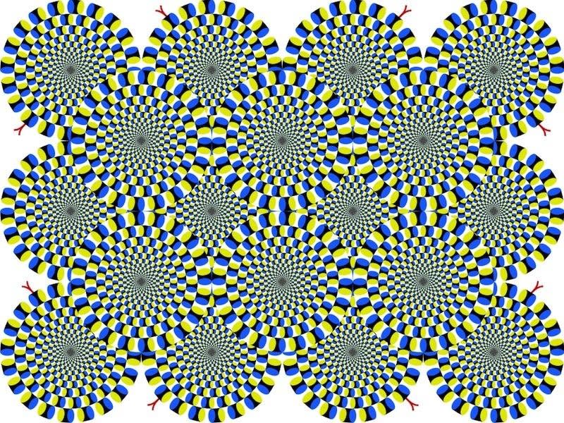 Optical Illusions: Types & What It Can Mean