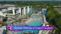 Soundwaves, fireworks, food & fun at Gaylord Opryland