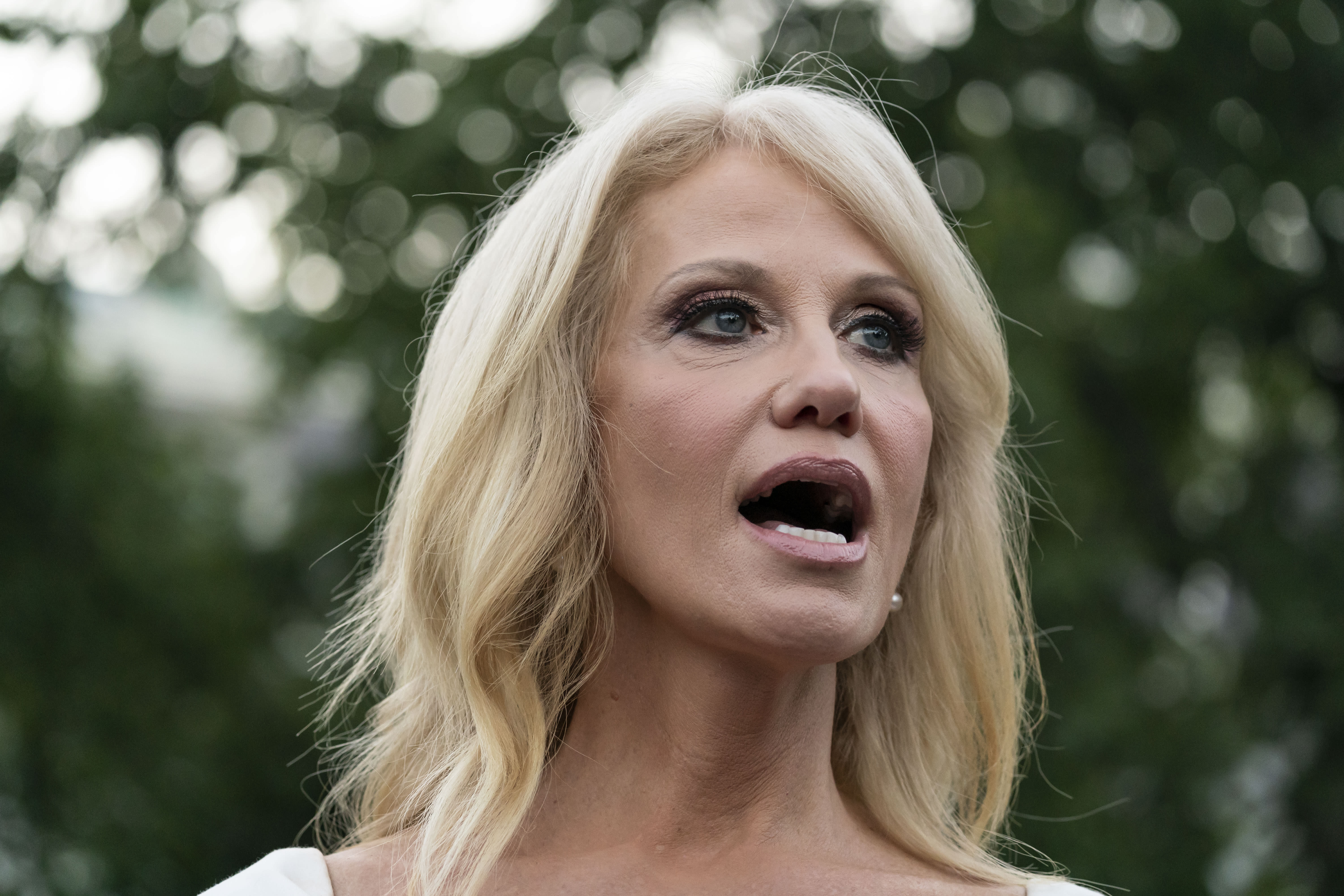 RNC Speech Serves As Farewell Address For Kellyanne Conway   42285ca79a9ba6cfeaaa409965193f54