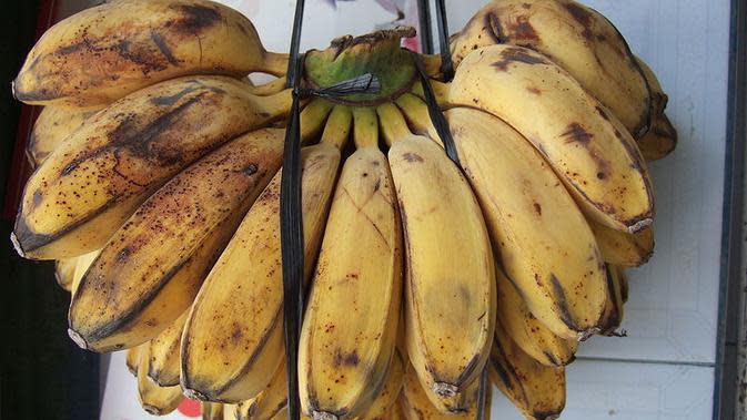 16 Manfaat Pisang Kepok Rebus Tingkatkan Sistem Imun Tubuh