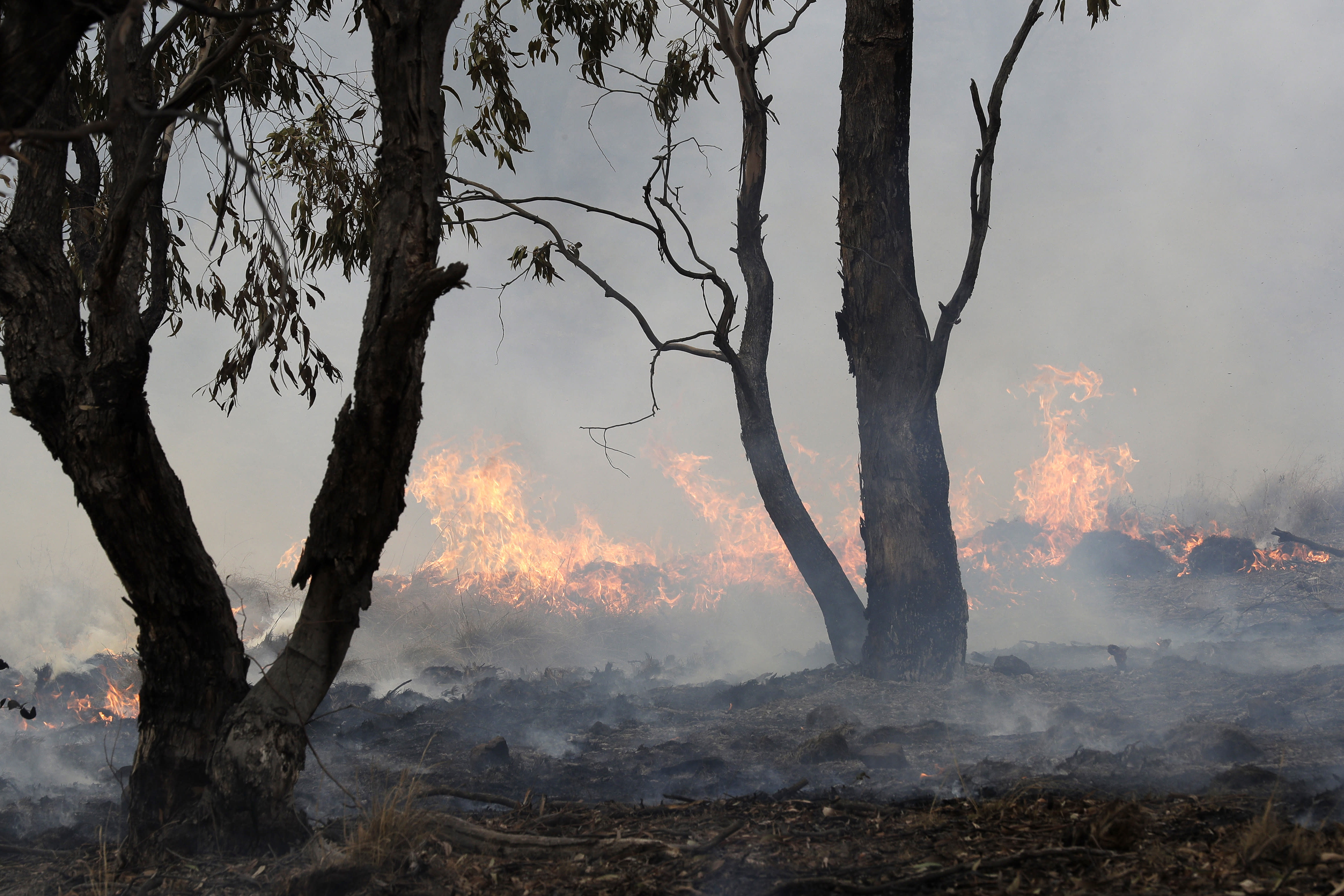 Rain extinguishes Australian wildfire and causes flooding