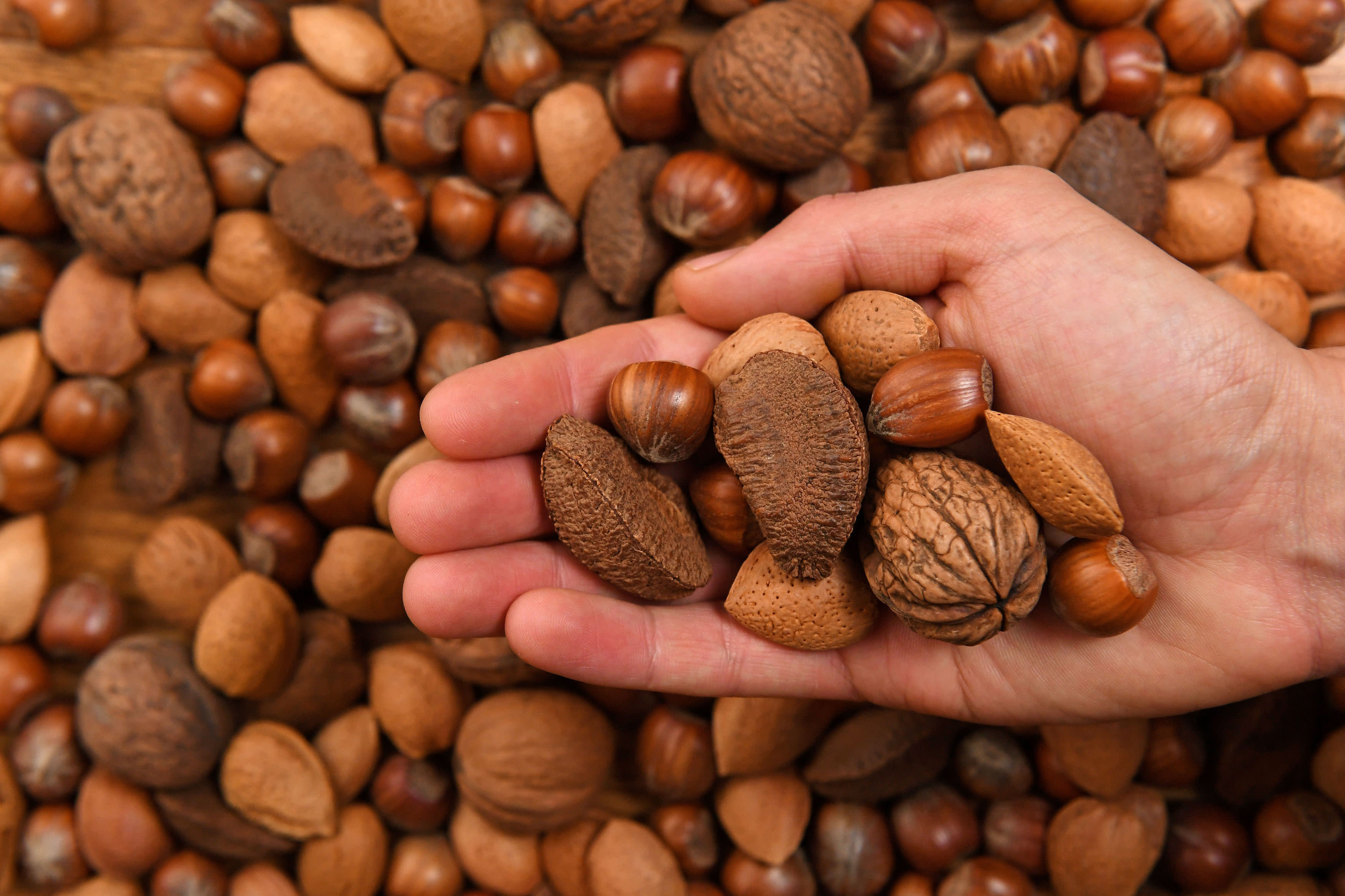 Eating nuts during pregnancy can boost children’s intelligence, study finds