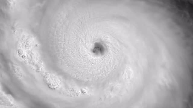 Hurricane Florence update: Horror video shows effect of being INSIDE eye of the  storm, World, News