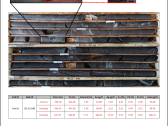 Goliath Drills 513 Gram*Meter AuEq Hole Assaying 65 g/t AuEq Over 7.90 Meters* At Surebet In Newly Discovered High-Grade Gold Bonanza Shear Within The Golden Gate Feeder Zone, Golden Triangle, British Columbia