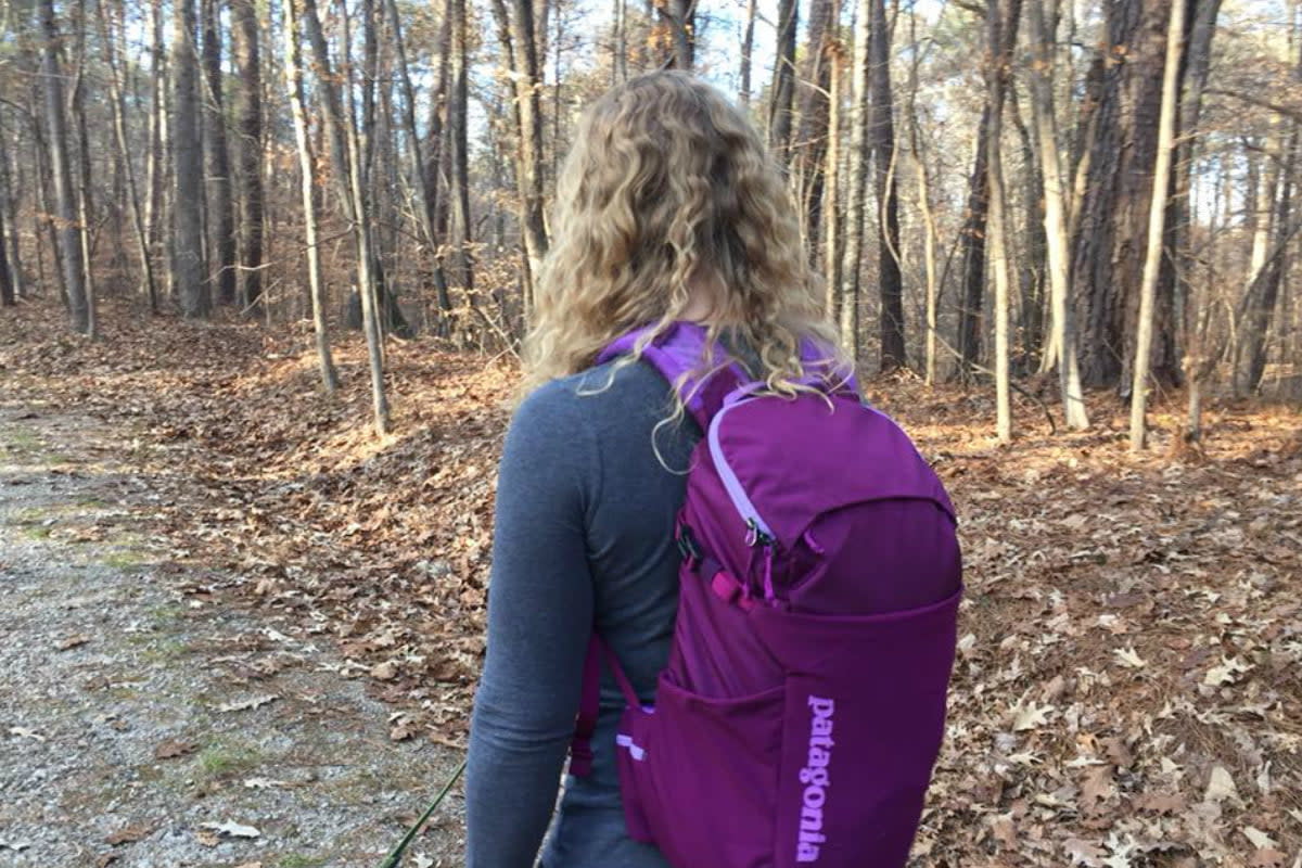 purple patagonia backpack