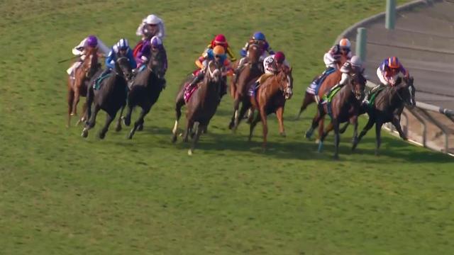 Auguste Rodin victorious in Breeders' Cup Turf
