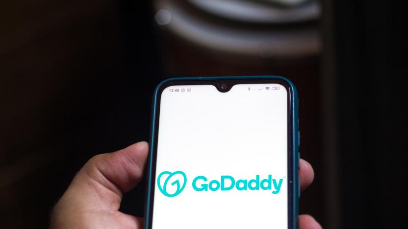 BRAZIL - 2020/11/18: In this photo illustration the GoDaddy logo seen displayed on a smartphone. (Photo Illustration by Rafael Henrique/SOPA Images/LightRocket via Getty Images)