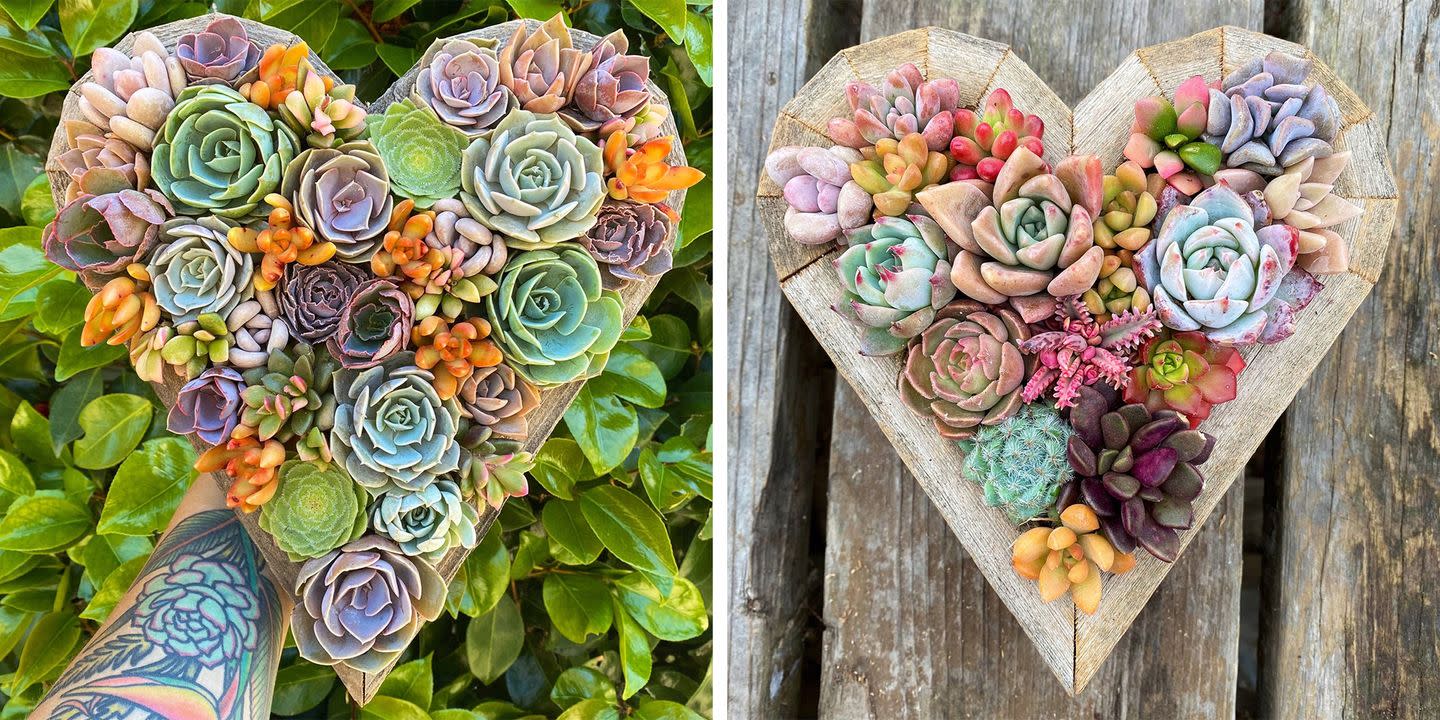 You Can Get Heart-Shaped Planters Filled With Live, Colorful Succulents On Etsy