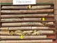 Desert Gold Completes Exploration Core Drilling at Mogoyafara South and Frikidi Gold Zones; SMSZ Project, Western Mali