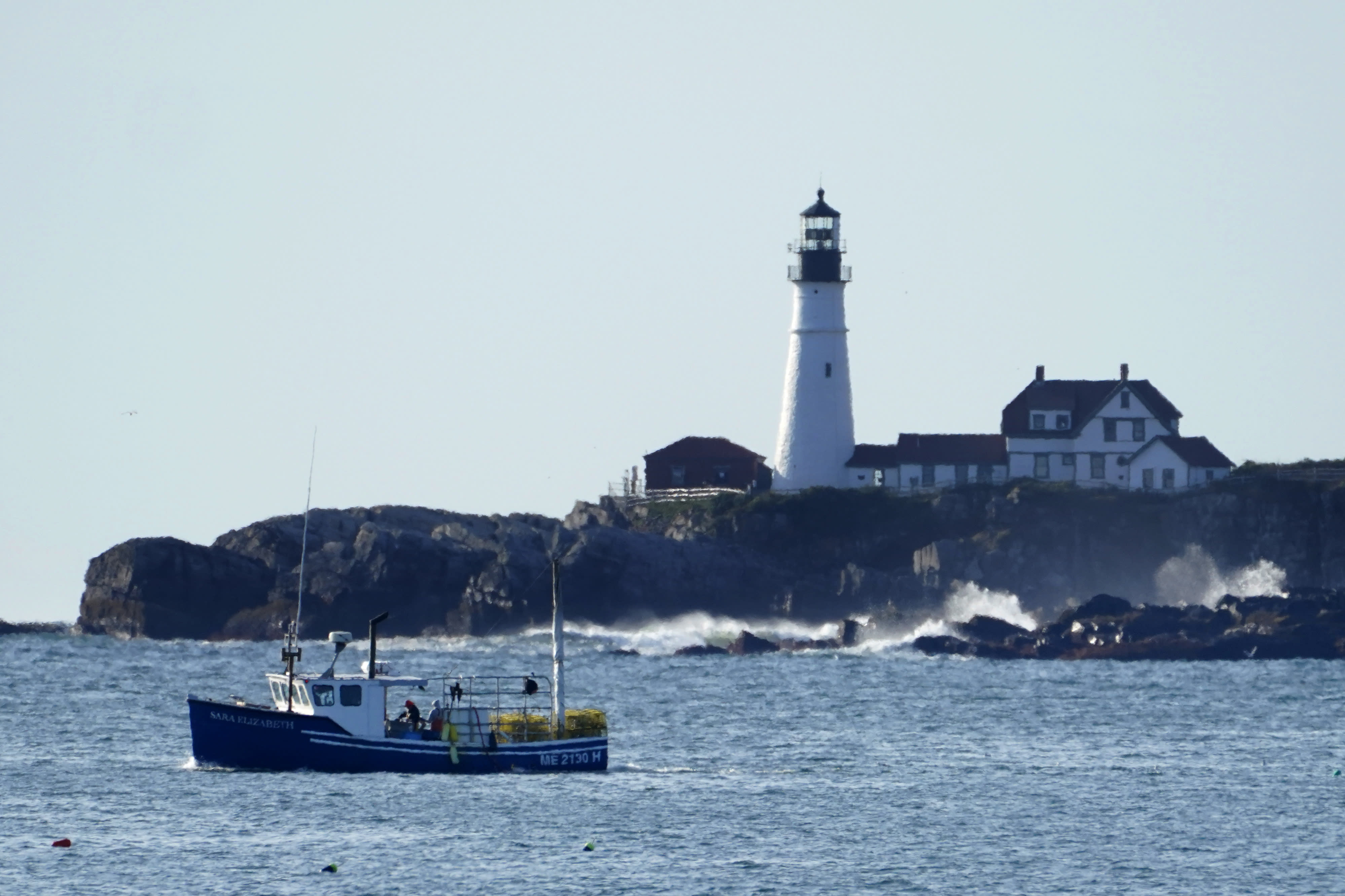 Maine lobster business salvaged its summer despite pandemic