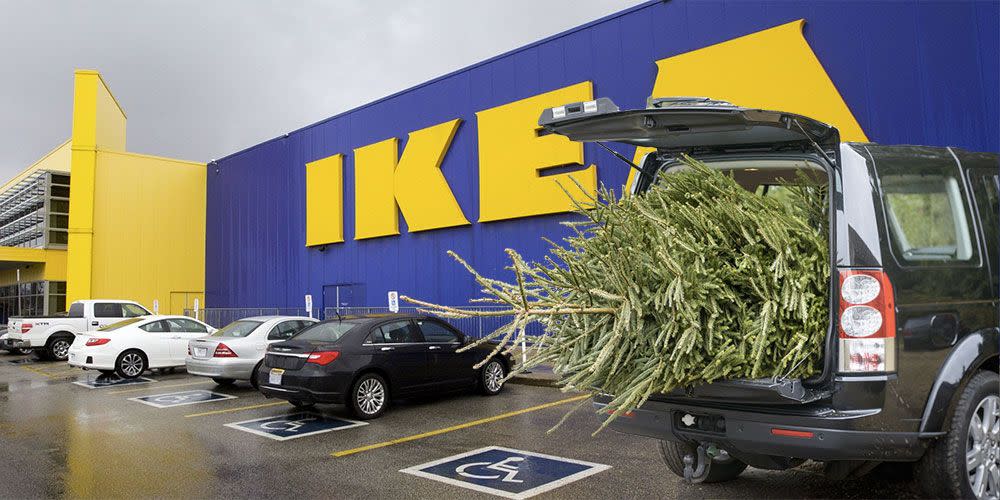 How To Get An Ikea Christmas Tree For Just 9