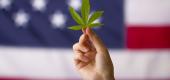 A focus on criminal justice expedited Virginia's path to becoming the 16th state to legalize marijuana. (Getty Images)