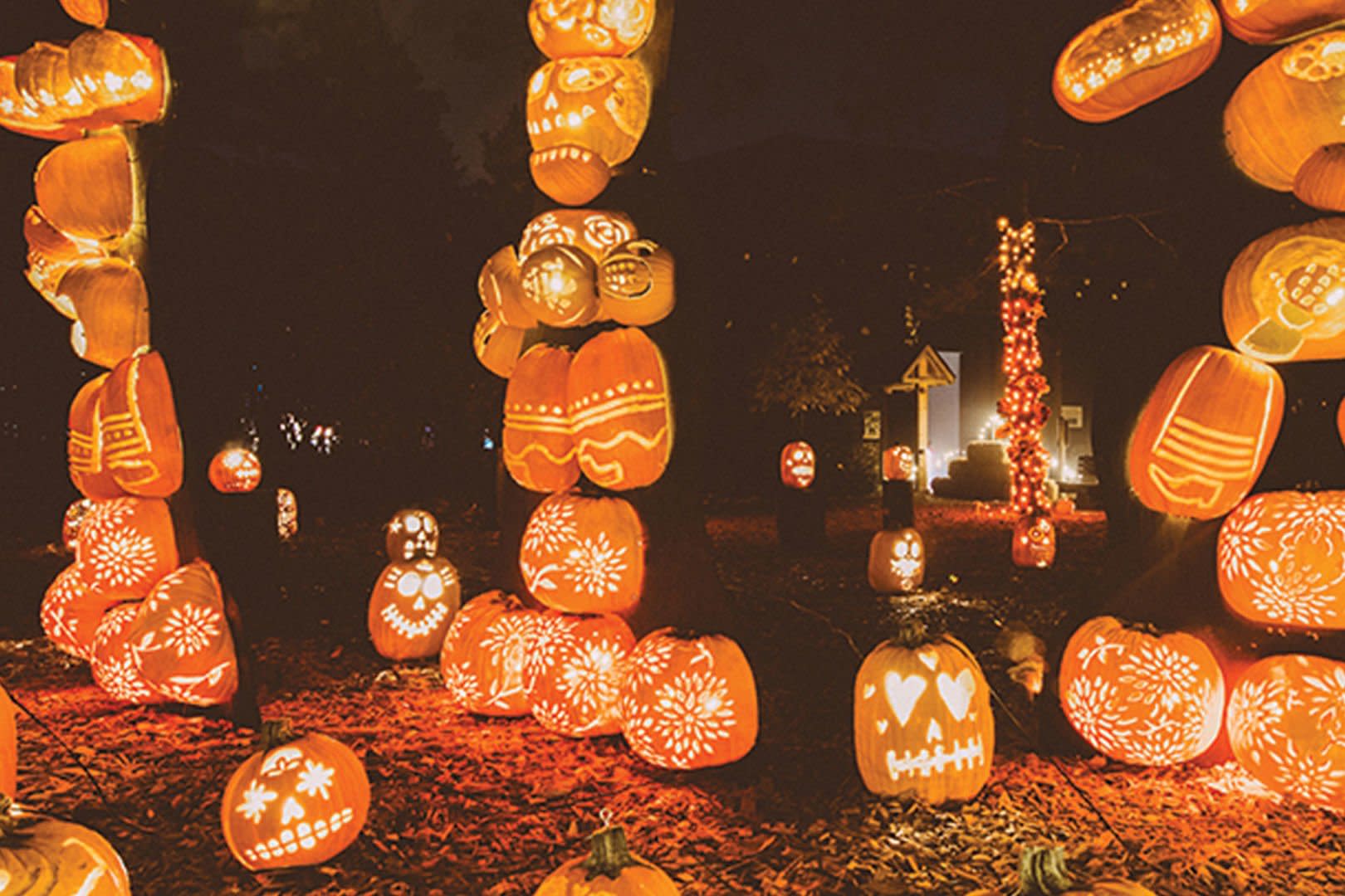 Halloween Festival Featuring Thousands of Lights and Pumpkins Rolls