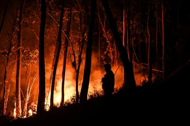 Portugal plagued by heat wave and forest fires, nearly 3,000 firefighters mobilized