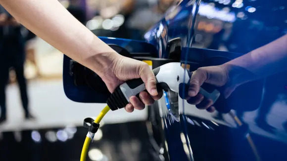 Expect 'growing pains' in the EV sector: Analyst
