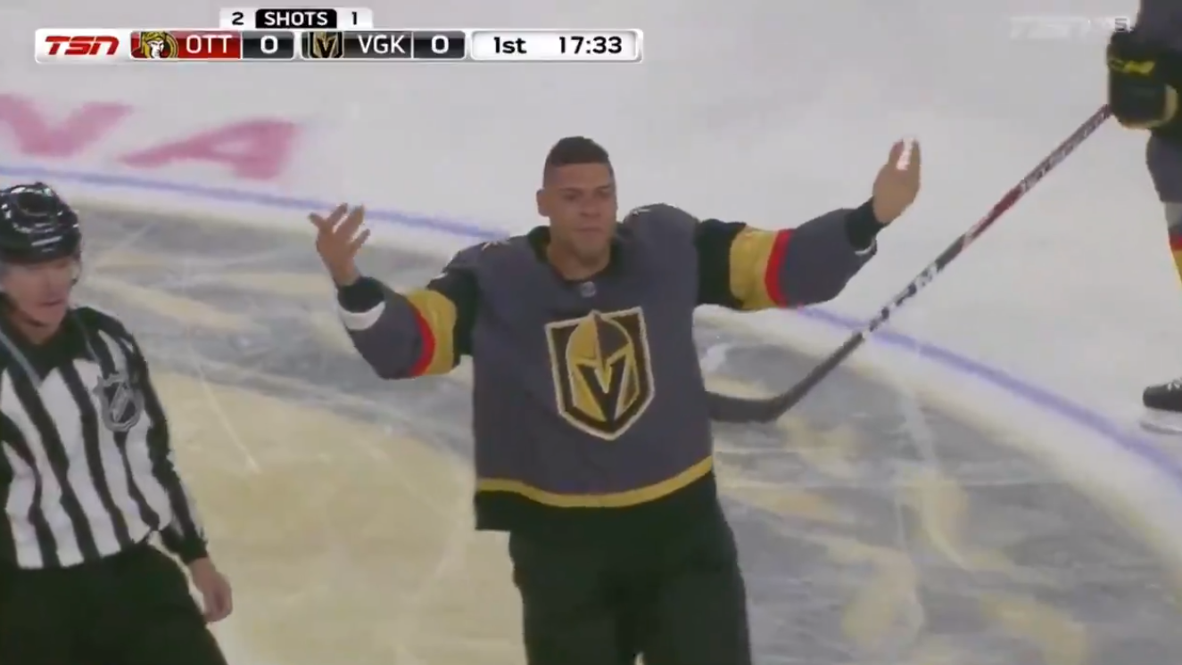 ryan reaves vgk jersey