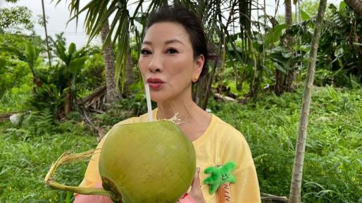 [青鳥行動]反藍白多數暴力黑箱重要之戰!遭藍白支持者輪番留言