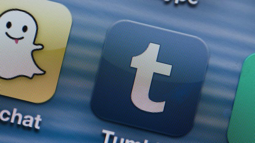 (ILLUSTRATION) An illustration dated 12 April 2013 shows the display of a smartphone with the app logo Tumblr in Schwerin, Germany. Facebook has been losing users for a while, but services such as Snapchat, Tumblr, Twitter and Vine are becoming more popular. Photo: JENS BUETTNER | usage worldwide   (Photo by Jens Büttner/picture alliance via Getty Images)