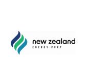 New Zealand Energy Corp. Dividend Policy