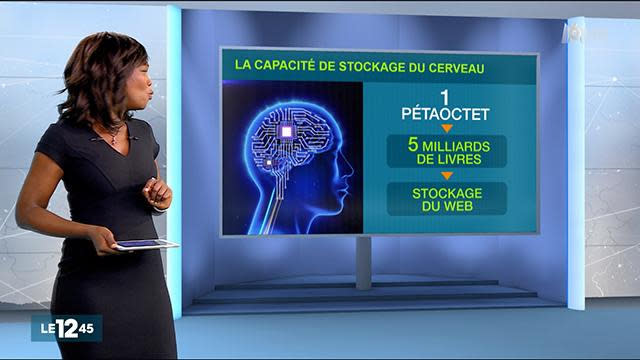 Le cerveau cet espace de stockage aussi vaste que le Web