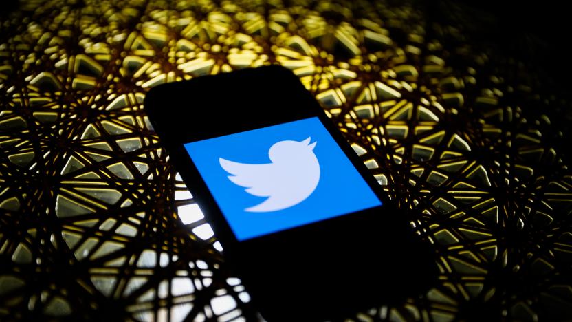 Twitter logo is seen displayed on a phone screen in this illustration photo taken in Poland on November 29, 2020. (Photo illustration by Jakub Porzycki/NurPhoto via Getty Images)