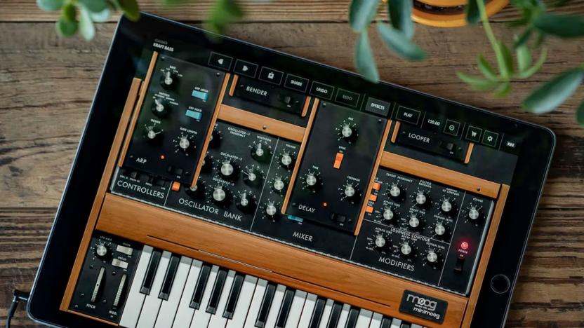 Moog Model D