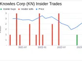 Knowles Corp SVP, HR & Chief Admin. Officer Raymond Cabrera Sells 10,300 Shares