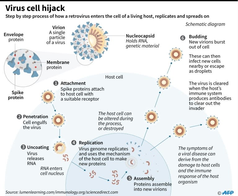 Race for vaccine tests limits of drug innovation