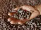 Cocoa prices could be out of control until 2026: Here's why