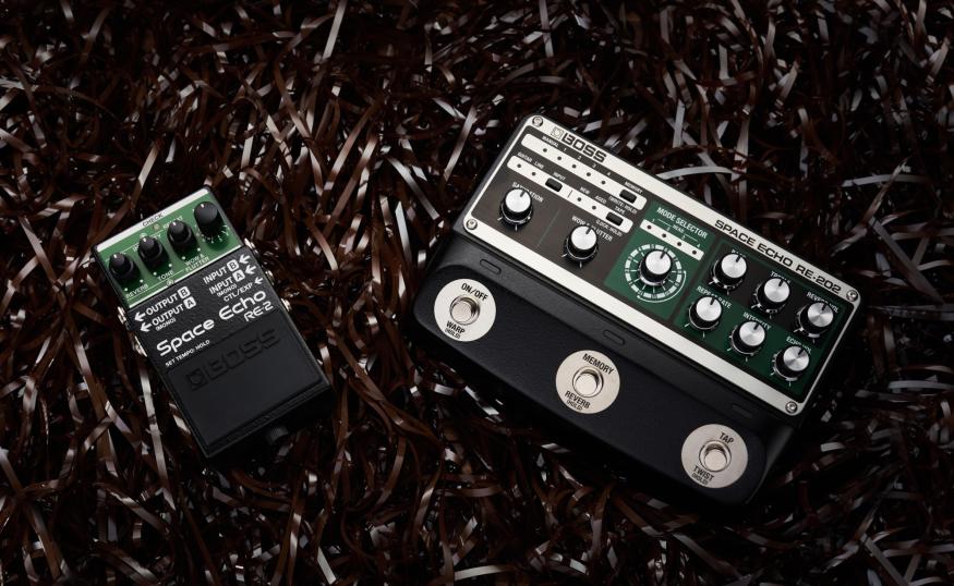 Boss RE-2 and RE-2020 Space Echo pedals                               