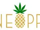 Pineapple, Inc.’s Cannabis Real Estate Subleasing Model Featured In Business Journal Cover Story