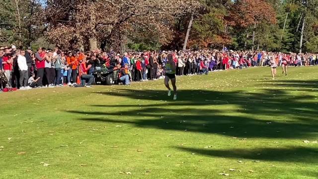 SPASH boys, D.C. Everest's Sara Mlodik win WIAA state cross-country titles in Division 1