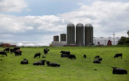 U S Bill Raising Debt Ceiling For Farm Bankruptcies Heads