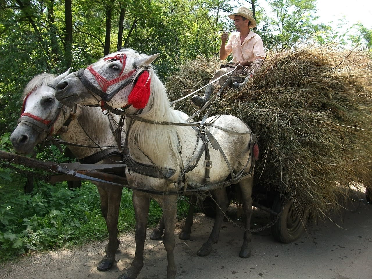 The Best Place to Retire in Romania