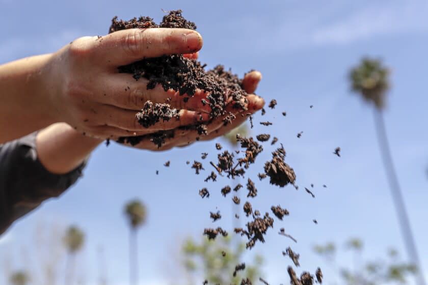 California's new composting law starts Jan. 1. How to recycle your food scraps
